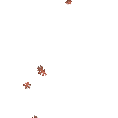 leaves, leaf, gif - Ücretsiz animasyonlu GIF