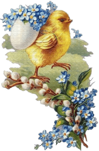 Ostern, Küken, Ei, Blumen - PNG gratuit