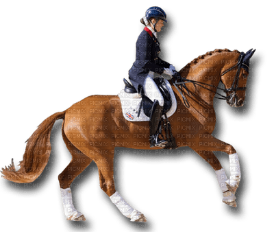 Kaz_Creations Woman Femme On Horse 🐴 - 無料png