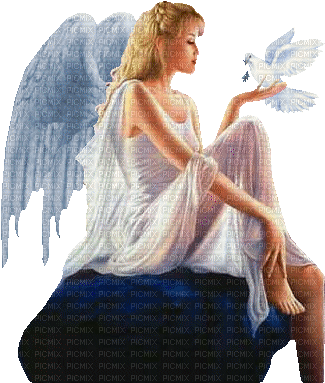 Ängel----Angel - gratis png