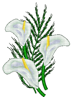 fleurs blanches web charmille - GIF animado grátis