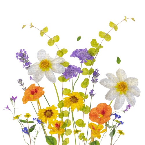 spring flowers - Free PNG
