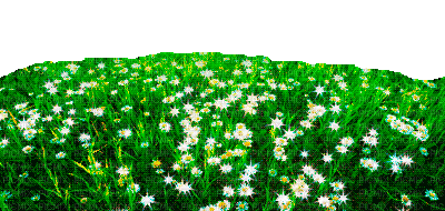 Garden flowers grass - 無料のアニメーション GIF