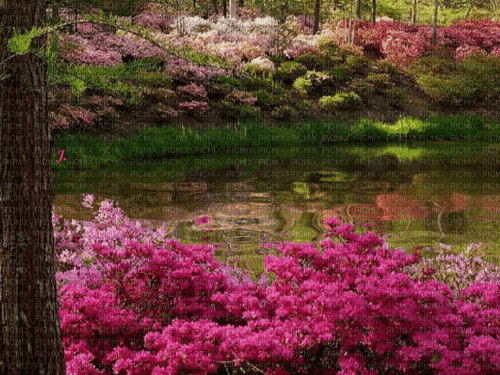 Background Water Garden - Bezmaksas animēts GIF
