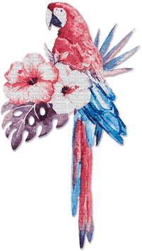 soave deco summer bird tropical parrot flowers - gratis png
