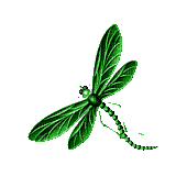 Insects, Insect, Dragonflies, Dragonfly, Green - Jitter.Bug.Girl - Бесплатный анимированный гифка