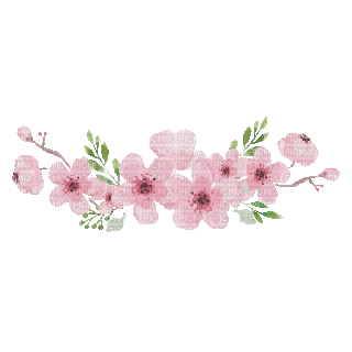 Pink Flowers - GIF animado gratis
