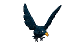 bird - 免费动画 GIF