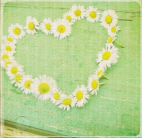 Background Daisy Heart - δωρεάν png