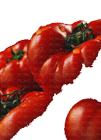Tomaten tomates tomatoes vegetables tube deco gif anime animated animation summer ete eat red - GIF animé gratuit