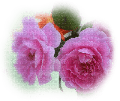 patymirabelle fleurs - δωρεάν png
