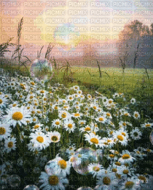 Background Landscape - Darmowy animowany GIF