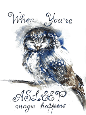 Owls quote - png gratis