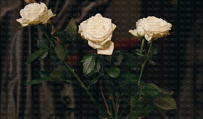 Beautiful flowers -Nitsa - Δωρεάν κινούμενο GIF
