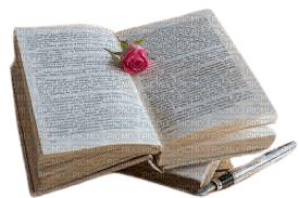 book, rose - png grátis