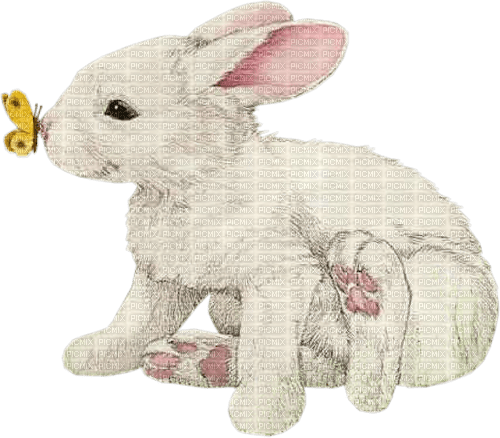 bunny spring vintage dolceluna - ücretsiz png