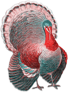 soave deco autumn thanksgiving turkey pink teal - δωρεάν png