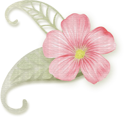 Kaz_Creations Deco Flower Colours Flowers - PNG gratuit