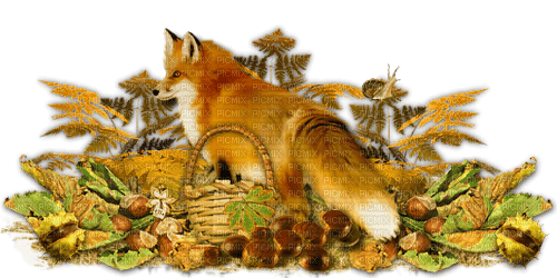 dolceluna spring summer autumn fox - bezmaksas png