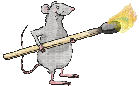 Funny Rat - GIF animado grátis