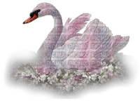 Ladybird - Swan - nemokama png
