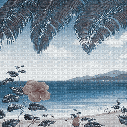 soave background animated summer beach  blue brown - 免费动画 GIF