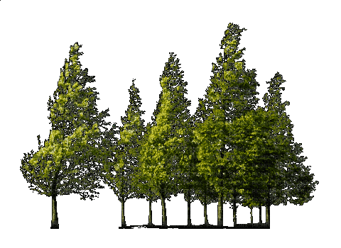 Деревья - Bezmaksas animēts GIF