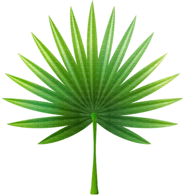 Kaz_Creations  Leaf - PNG gratuit
