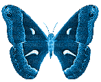Butterfly, Butterflies, Insect, Insects, Deco, Blue, GIF - Jitter.Bug.Girl - GIF เคลื่อนไหวฟรี