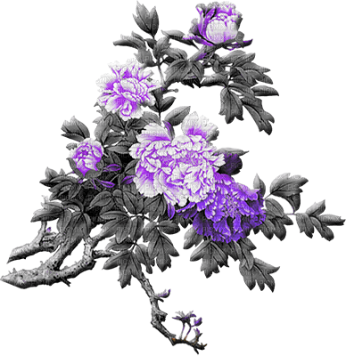 soave deco flowers oriental branch black white - бесплатно png