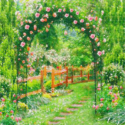 soave background animated vintage garden  rose - 免费动画 GIF