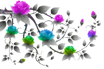 soave deco branch animated flowers rose spring - 免费动画 GIF