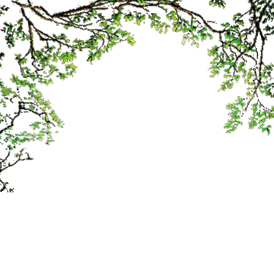 rama hojas verdes gif dubravka4 - GIF animado grátis