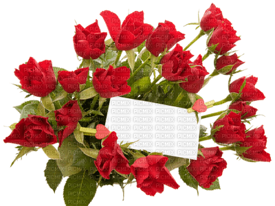 Red roses - Free PNG