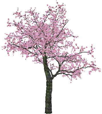 spring trees bp - Kostenlose animierte GIFs