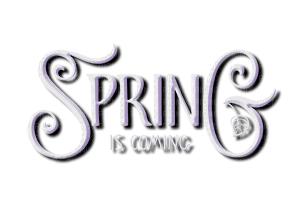 kikkapink spring is coming text transparent - besplatni png