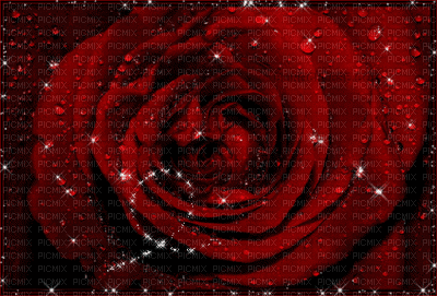 rose - Gratis geanimeerde GIF