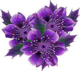 Blumen-Flowers-fleurs - Besplatni animirani GIF