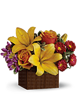 Kaz_Creations  Flowers Vase Plant - nemokama png