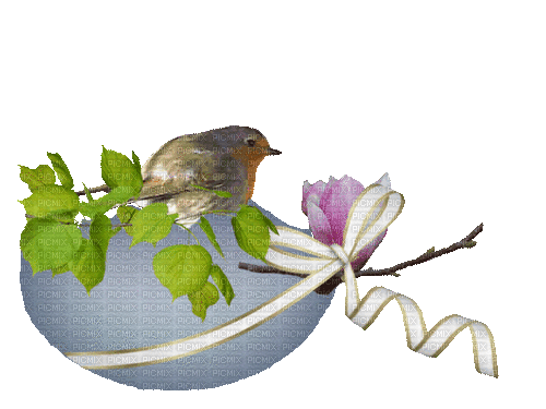 dolceluna animated spring bird easter - 無料のアニメーション GIF