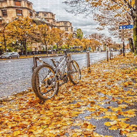 kikkapink autumn background animated - Gratis geanimeerde GIF