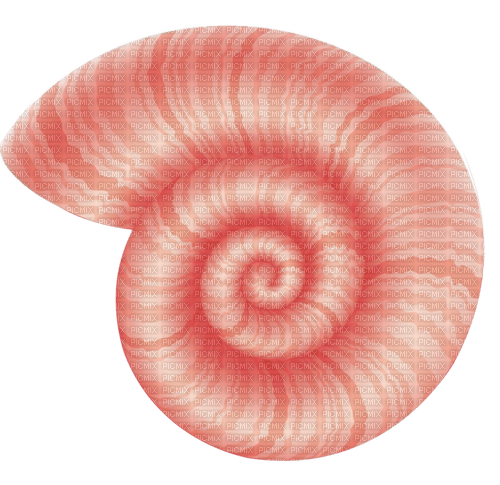 pink shell Bb2 - PNG gratuit