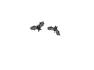 bats - 免费动画 GIF
