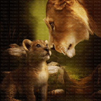 lion - Ilmainen animoitu GIF