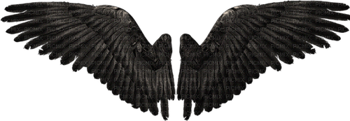 wings angel dark - ingyenes png