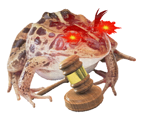 judge froggy with fast flashing eyes - GIF animado gratis
