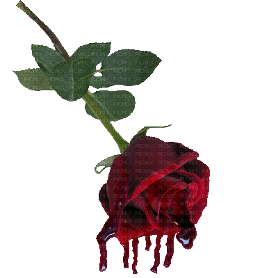 Gothic Blumen- Flowers-Fleurs - Bezmaksas animēts GIF