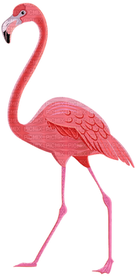Kaz_Creations Birds Bird Flamingo - besplatni png