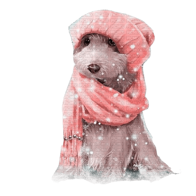 kikkapink winter dog pink - gratis png