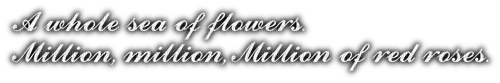 million scarlet roses lyrics - PNG gratuit